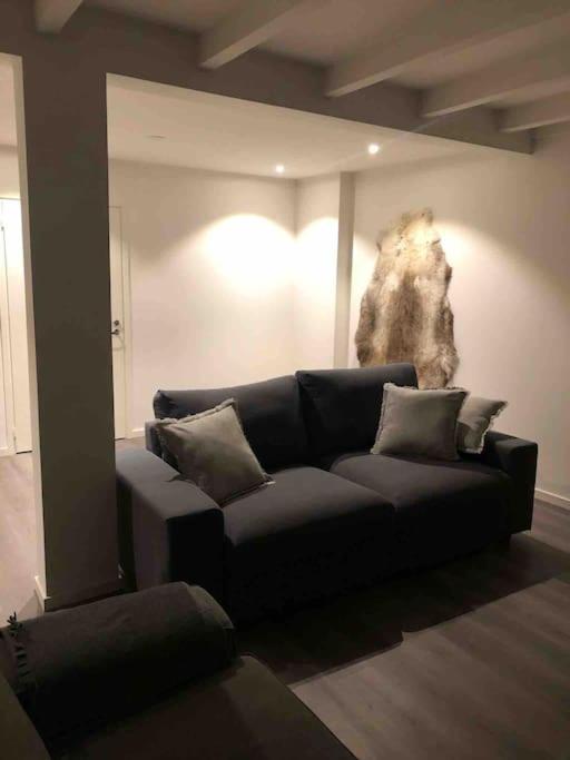 Stella Lapponia Two Floors 200 Sqm Apartman Rovaniemi Kültér fotó